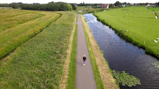 Aerial view of a person walking along a narrow paved path beside a tranquil canal, surrounded by lush green fields and grazing sheep in Berkel en Rodenrijs, South Holland, Netherlands.
