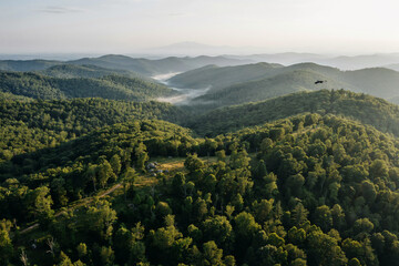 Obraz premium Aerial view of a vast green mountain range covered in dense forest with a small patch of light and a single bird flying in the hazy morning sky isolated on a transparent background