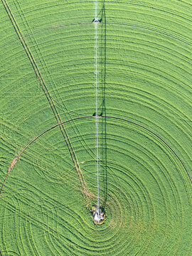 Pivot Irrigator - Cowra NSW Australia. Top down aerial view