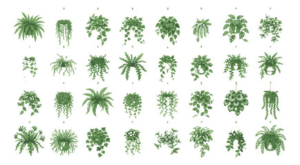 Hanging indoor plants collection, 32 green houseplant vector icons, trailing ivy and fern foliage set, botanical interior decor elements for home design © Rehman
