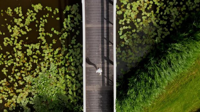 Aerial view of a person walking along a narrow path through lush green fields in Berkel en Rodenrijs, South Holland, Netherlands.