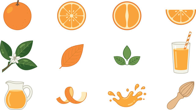 Fresh orange fruit vector icon set with citrus slices juice glass pitcher splash leaves and wooden squeezer illustration
