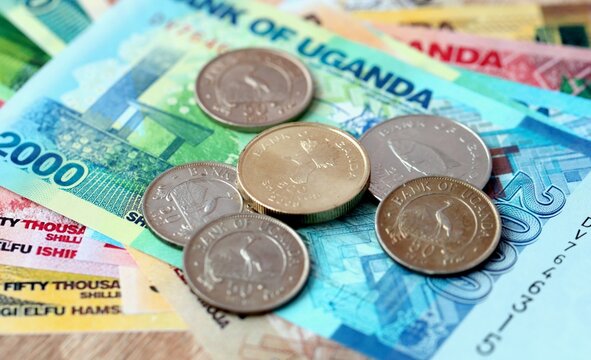 Ugandan shilling money bills and coins on table. Uganda cash of UGX currency close up