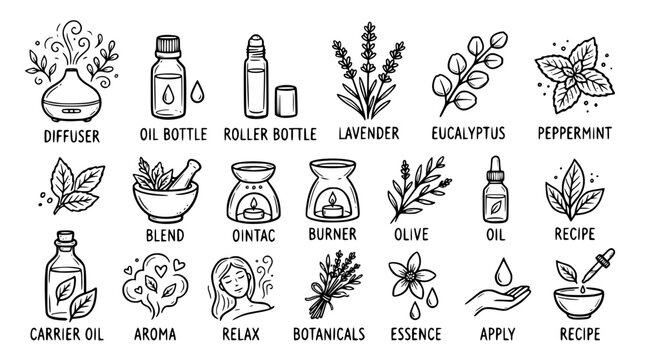 Hand drawn aromatherapy essential oil icons diffuser roller bottle lavender eucalyptus peppermint blend, black ink sketch vector illustration
