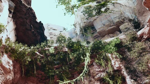 Sunlight shines down into a canyon where green plants and vines grow on the rocky walls. The rocks show layers and textures from years of weathering. Trees are visible above.