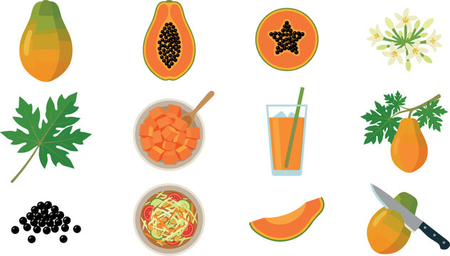 Fresh papaya fruit vector icon set featuring whole tree melon half slices diced bowl fresh juice glass flower leaves seeds and salad elements,