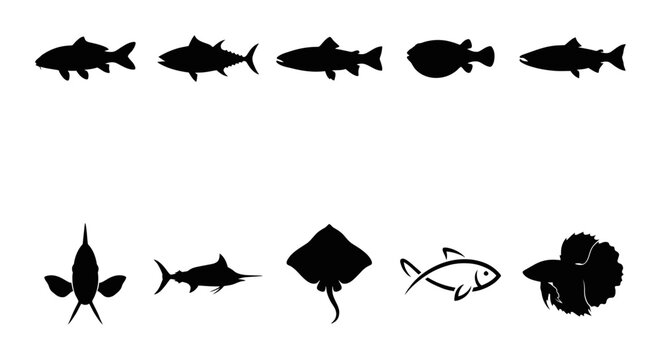 Collection Of Ten Diverse Fish Species Silhouettes Vector Set For Aquatic Wildlife Graphics