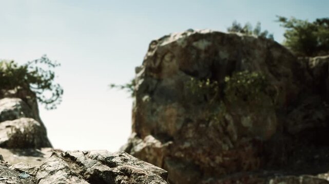 Bright sunlight shines down on a rocky surface with patches of green plants growing on top. The sky is clear with no clouds. The scene shows a natural area in daylight.