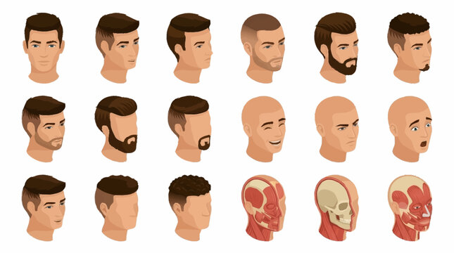 Illustrations of various male hairstyles and head anatomy.