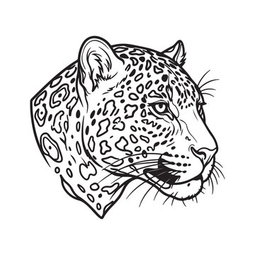 Detailed black and white line of a leopard head in profile, featuring spots and whiskers, isolated on a white background