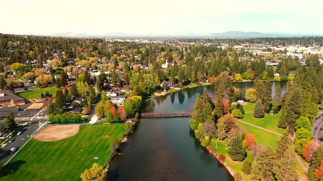 Drone glides above a river flanked by dense riparian vegetation and lush riverside shrubs and plants