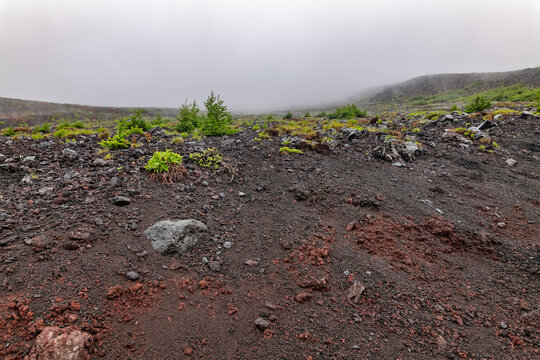 Basalt lava flow and scoria( volcanic cinder) or spatter from Mount Fuji ( stratovolcano ). Shizuoka Prefecture, Japan.  Mount Fuji Fujinomiya 5th Station to Hoei Sanso - 6th Station.
