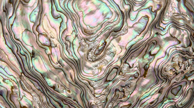 Close-up of natural abalone shell texture with iridescent pearl colors, luxury mother-of-pearl nacre background showing wavy organic patterns and metallic luster
