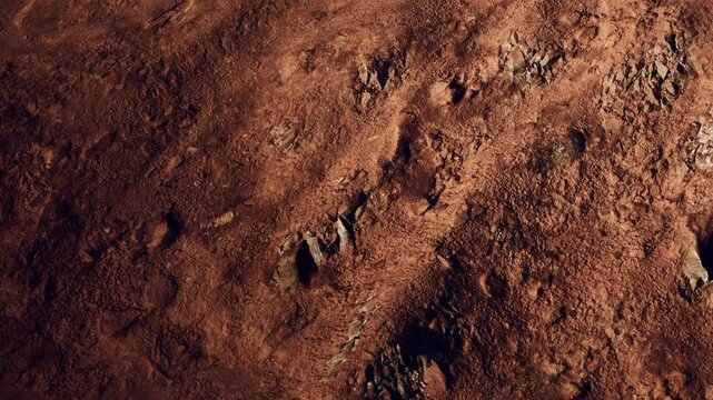 The scene shows a dry and rocky landscape. The ground is uneven with patches of dirt and rocks. Bright sunlight highlights the textures in the terrain.