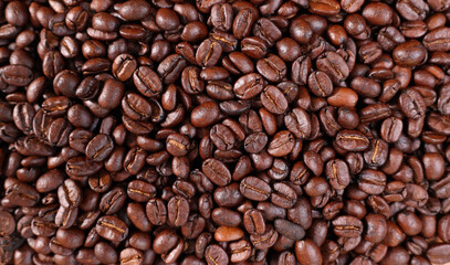 Obraz premium View of coffee beans on the table
