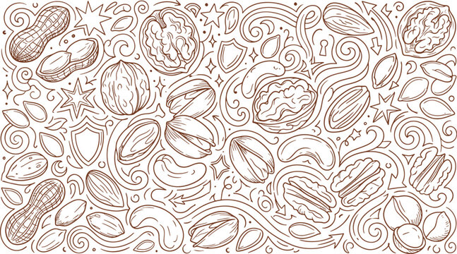 Mixed nut variety doodle line art background with whole food hazelnuts illustration vegetarian background monochrome assorted collection botanical ingredients culinary nutrition