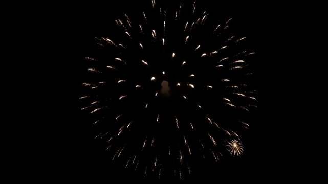Golden fireworks bursting against a dark night sky