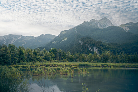 Beautiful View over Lechauen Wetlands near Reutte with Mountain Peaks, Scenic Alpine Landscape of Lake Water Surface with Reeds and Forest under Cirrocumulus Clouds in Tyrol Austria