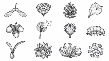 Detailed botanical and insect line art illustrations. © Untung