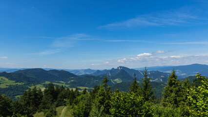 Fototapeta premium Panoramic View of Forested Mountains and Green Valley Under Blue Summer Sky