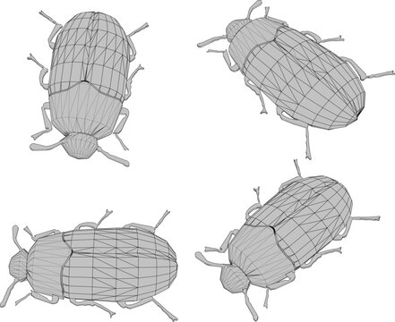 vector sketch illustration design of animal insect beetle flea source of disease