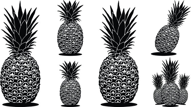 black and white illustration of multiple pineapples on white background