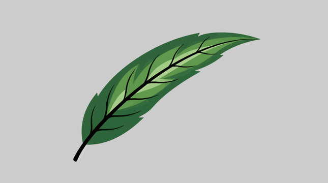 Flat Vector Illustration of a Single Elongated Green Leaf with Bold Midline Vein and Subtle Serrated Edges on a Light Gray Background, Minimalist Nature Graphic