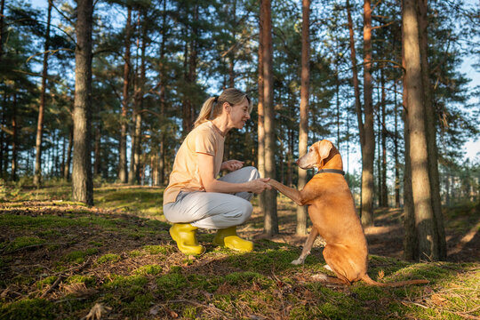 Nature harmony, companionship and leisure activity, positive confident woman playing with Vizsla dog, happy relaxed female pet owner devoting free time to beloved pet on forest getaway in autumn.