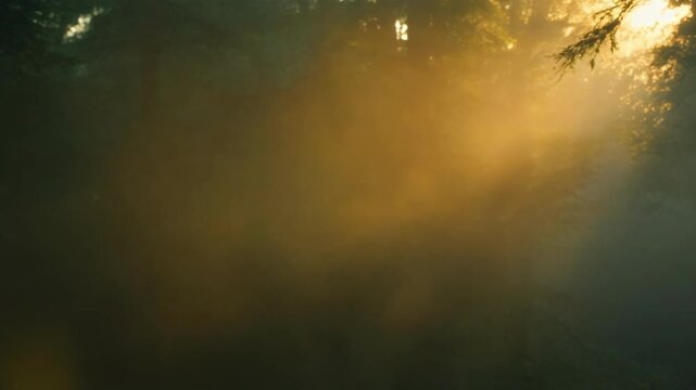 Abstract blurred background with golden and dark green hues