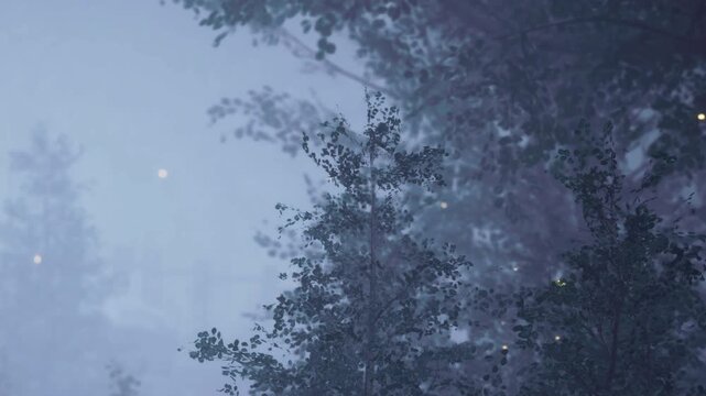 A thick mist covers the forest at night. Sparse tree silhouettes can be seen against a backdrop of hazy light. Faint glowing spots appear among the branches as the night unfolds.