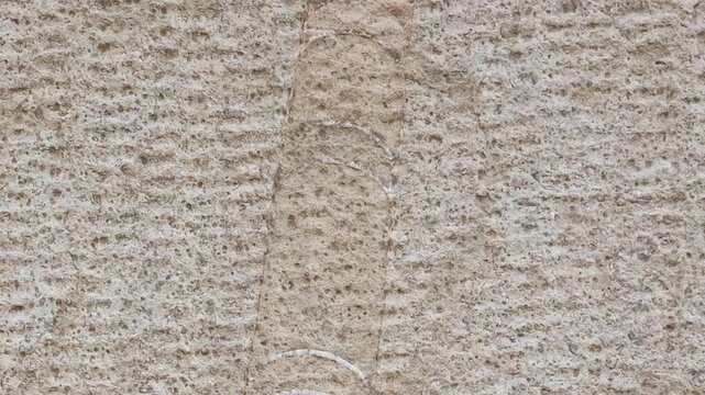 Panning shot of limestone rough wall with a fossilized shell of an extinct straight-shelled cephalopod from the Ordovician period, an ancient petrified marine invertebrate embedded in natural stone