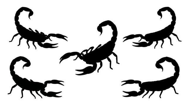 Scorpion silhouette set isolated on white background