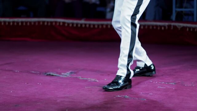 Legs of a performer wearing white pants with black stripe and black shiny shoes dancing on red circus stage, moving rhythmically for show slow motion