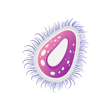 Illustration of a single microbe