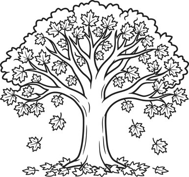 Autumn tree coloring page book vector trending best simple clean designs