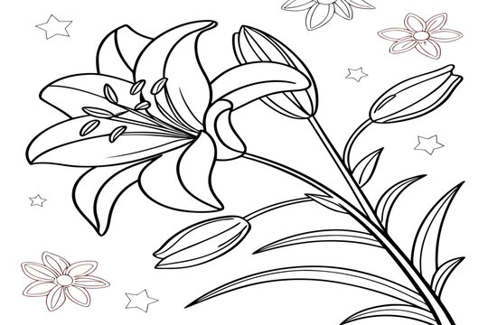 coloring page line art the zenobia flower black vector