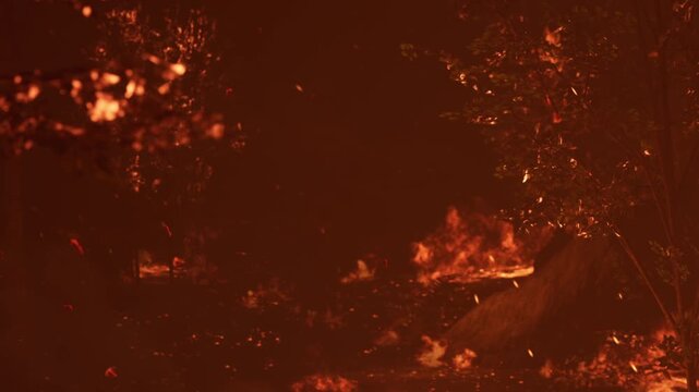 Flames spread through the forest at dusk, creating thick smoke and glowing embers. Trees are engulfed as fire moves rapidly through the dry underbrush. Emergency services respond to the scene.