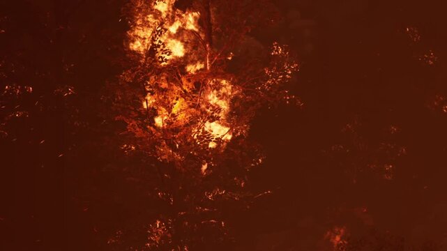 Flames consume trees in a forest during the night. The fire creates a bright and dangerous scene as it engulfs the vegetation. Smoke rises and darkness surrounds the area.