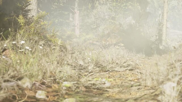 A misty forest path is visible, surrounded by green plants and trees. Fog hangs in the air. The ground is covered in leaves and small flowers. Light filters through the trees.