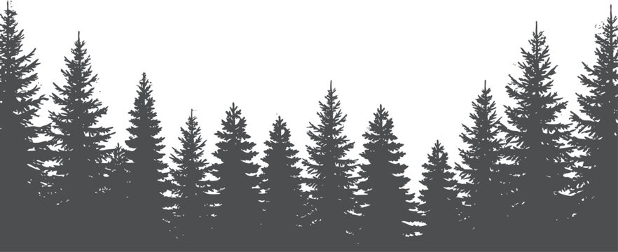 Horizontal black silhouette coniferous pine tree forest border. Evergreen woods skyline graphic suitable for rustic t-shirt print layouts. Transparent EPS