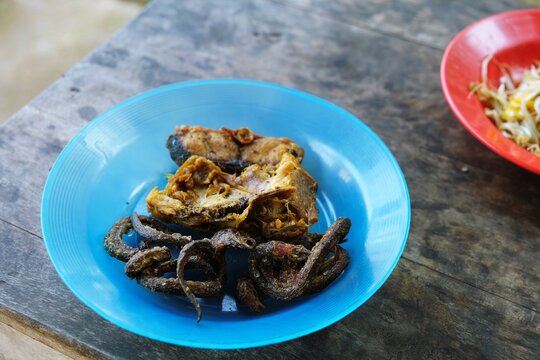 Traditional Indonesian meal featuring fried chicken, fried fish, fried eel, and local side dishes served on colorful plates.