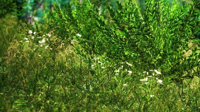 Bright green plants grow abundantly in an open space. Some white flowers appear among the greenery. Sunlight enhances the natural setting during midday.