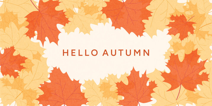 Autumn Greeting Card with Orange and Yellow Maple Leaves frame and Hello Autumn text. Flat Vector illustration for seasonal banner, poster, invitation, social media template.