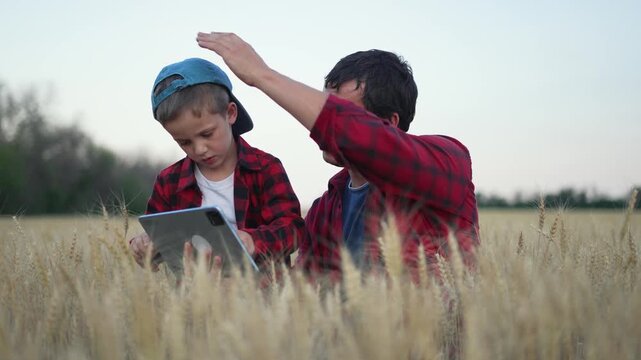 Father son in wheat field using tablet. Family bonding with technology nature. wheat crops together with tablet. family learning technology in wheat field. Father teaching son about wheat technology.