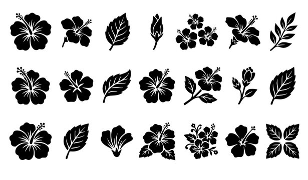 Tropical Hibiscus and Exotic Plumeria Floral Solid Silhouette Icon Set Featuring Blossoms Leaves Buds and Frangipani Botanical Vector Graphic Elements