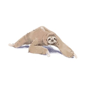 A beautifully rendered graphite illustration of a sloth in mid-motion This artwork captures the graceful yet deliberate movement of the animal as it navigates its habitat. The artist's use of varying 