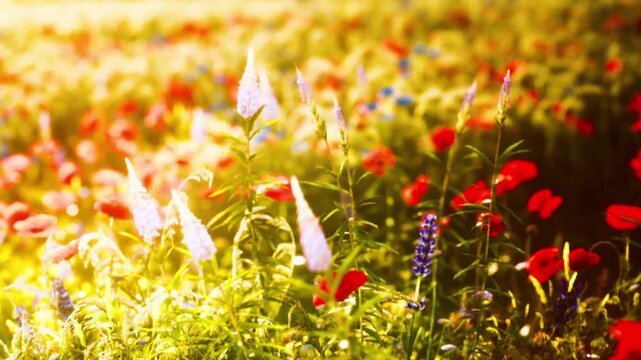 A field is filled with bright flowers in various colors during a sunny day. The flowers sway gently in the breeze, creating a lively scene. Bees and butterflies can be seen moving among the blooms.