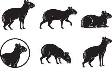 Fototapeta premium Central American Agouti Silhouette Icon Set Collection Tropical Rodent Black Vector Wildlife Symbols