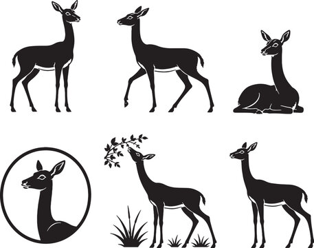 Dibatag Silhouette Icon Set Collection Black Vector East African Antelope Wildlife Symbols Isolated on White Background