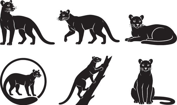 Fossa Silhouette Icon Set
